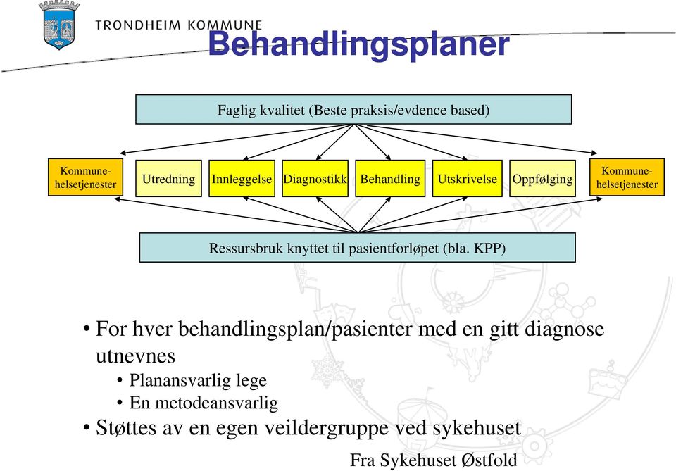 til pasientforløpet (bla.