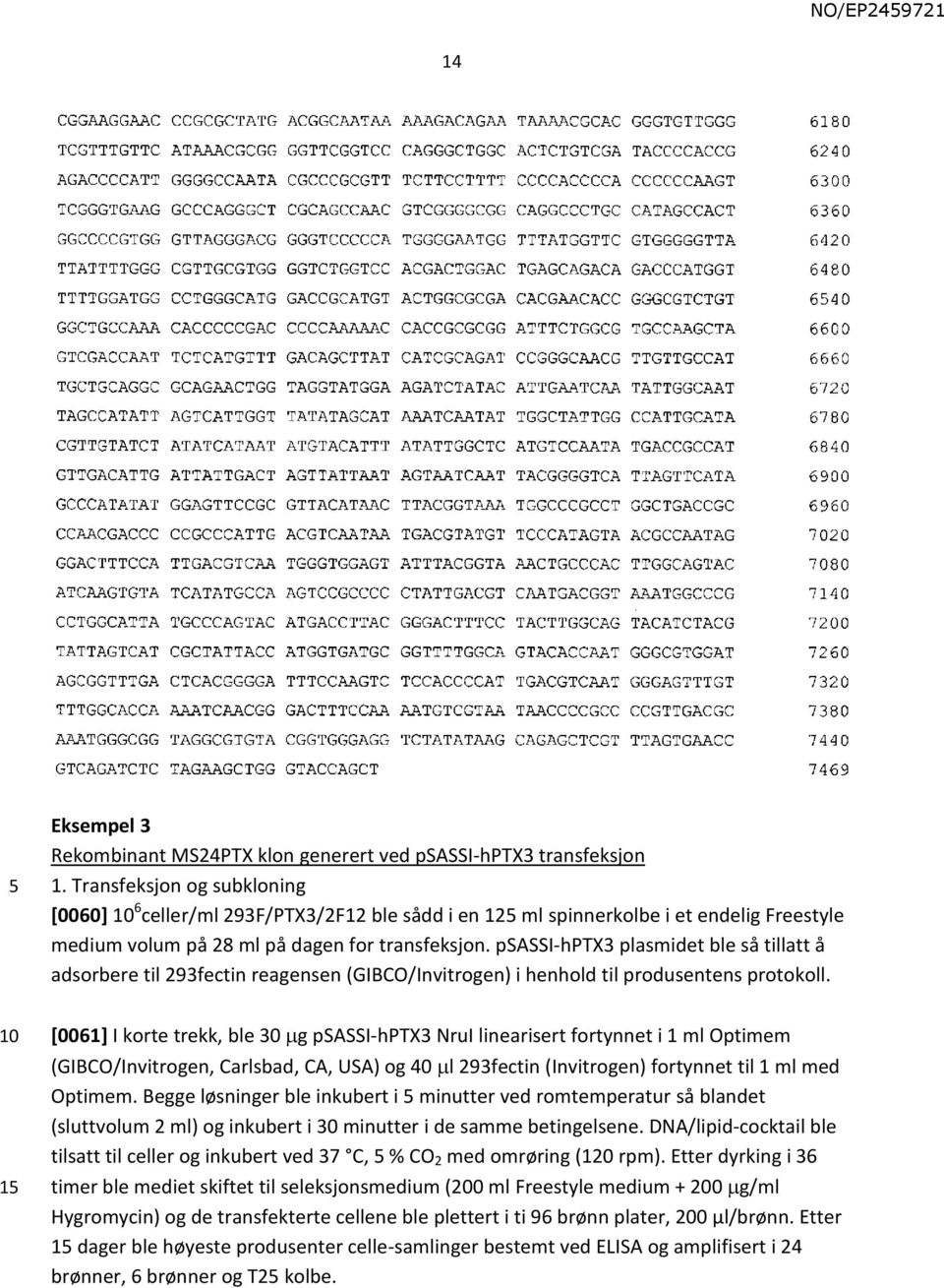 psassi-hptx3 plasmidet ble så tillatt å adsorbere til 293fectin reagensen (GIBCO/Invitrogen) i henhold til produsentens protokoll.