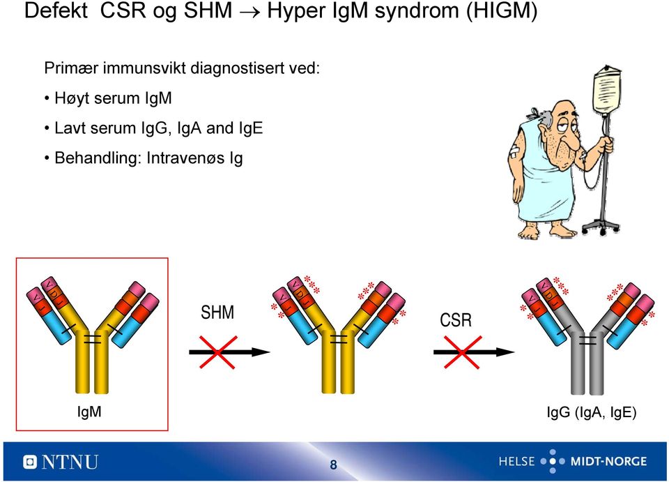 serum IgM Lavt serum Ig, IgA and IgE