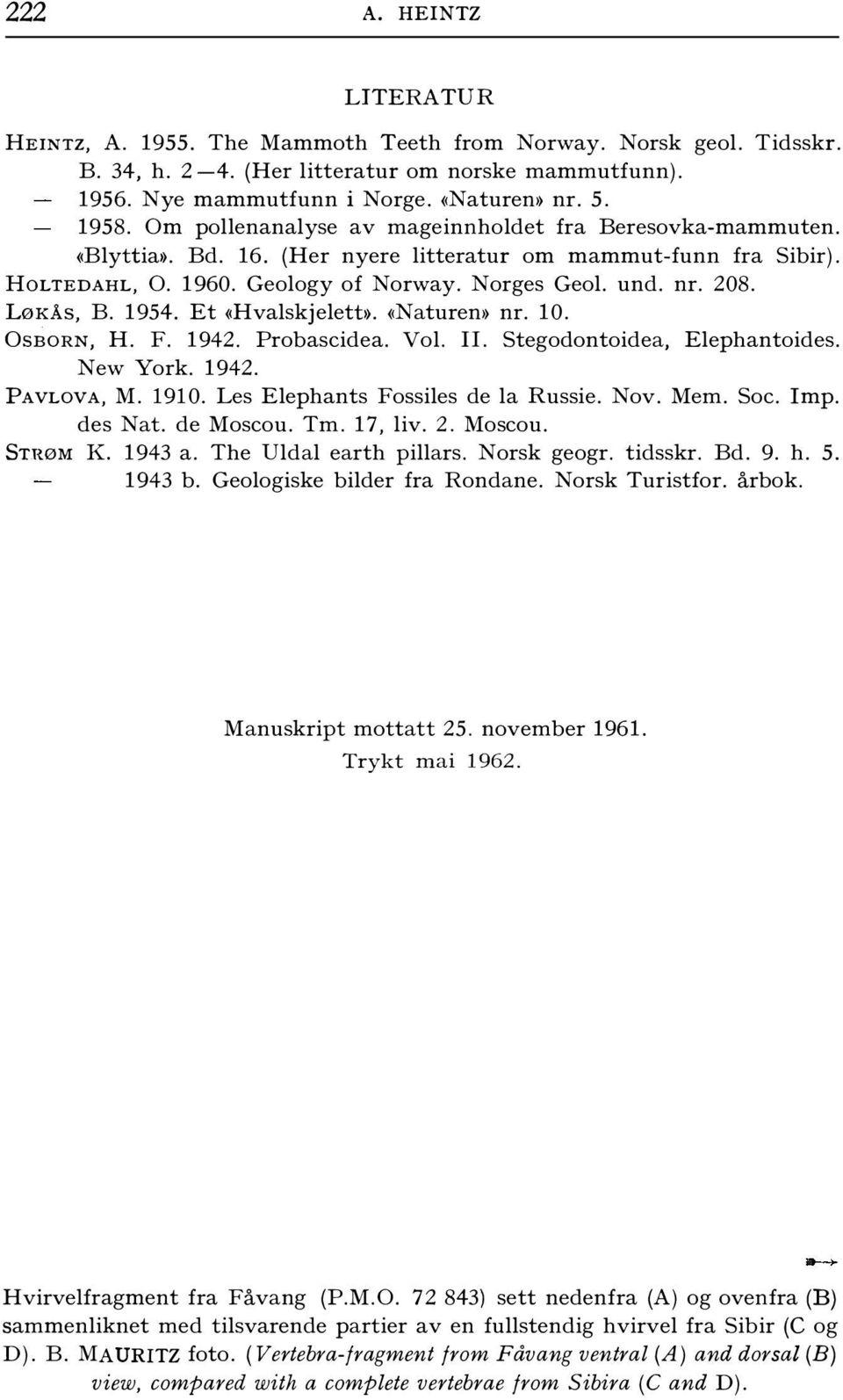 LøKÅS, B. 1954. Et <<Hvalskjeletb. <<Naturem nr. 10. OsBORN, H. F. 1942. Probascidea. Vol. Il. Stegodontoidea, Elephantoides. New York. 1942. PAVLOVA, M. 1910. Les Elephants Fossiles de la Russie.