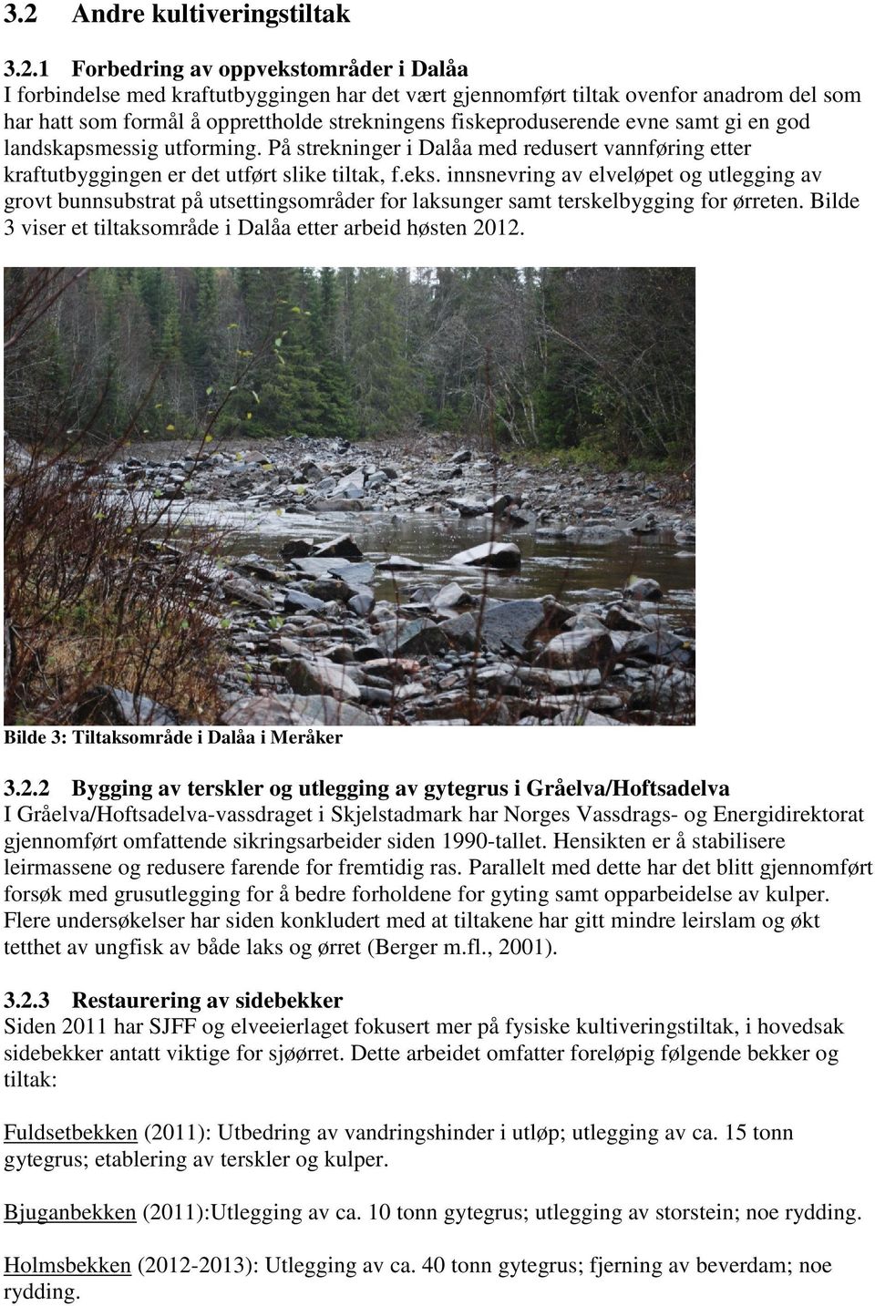 innsnevring av elveløpet og utlegging av grovt bunnsubstrat på utsettingsområder for laksunger samt terskelbygging for ørreten. Bilde 3 viser et tiltaksområde i Dalåa etter arbeid høsten 2012.