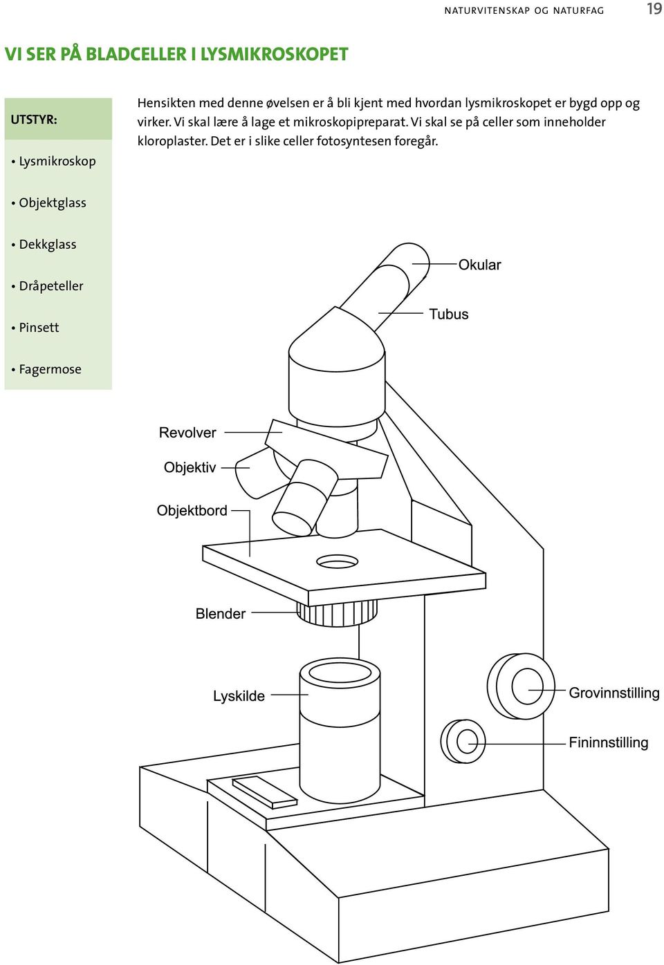 Vi skal lære å lage et mikroskopipreparat. Vi skal se på celler som inneholder kloroplaster.