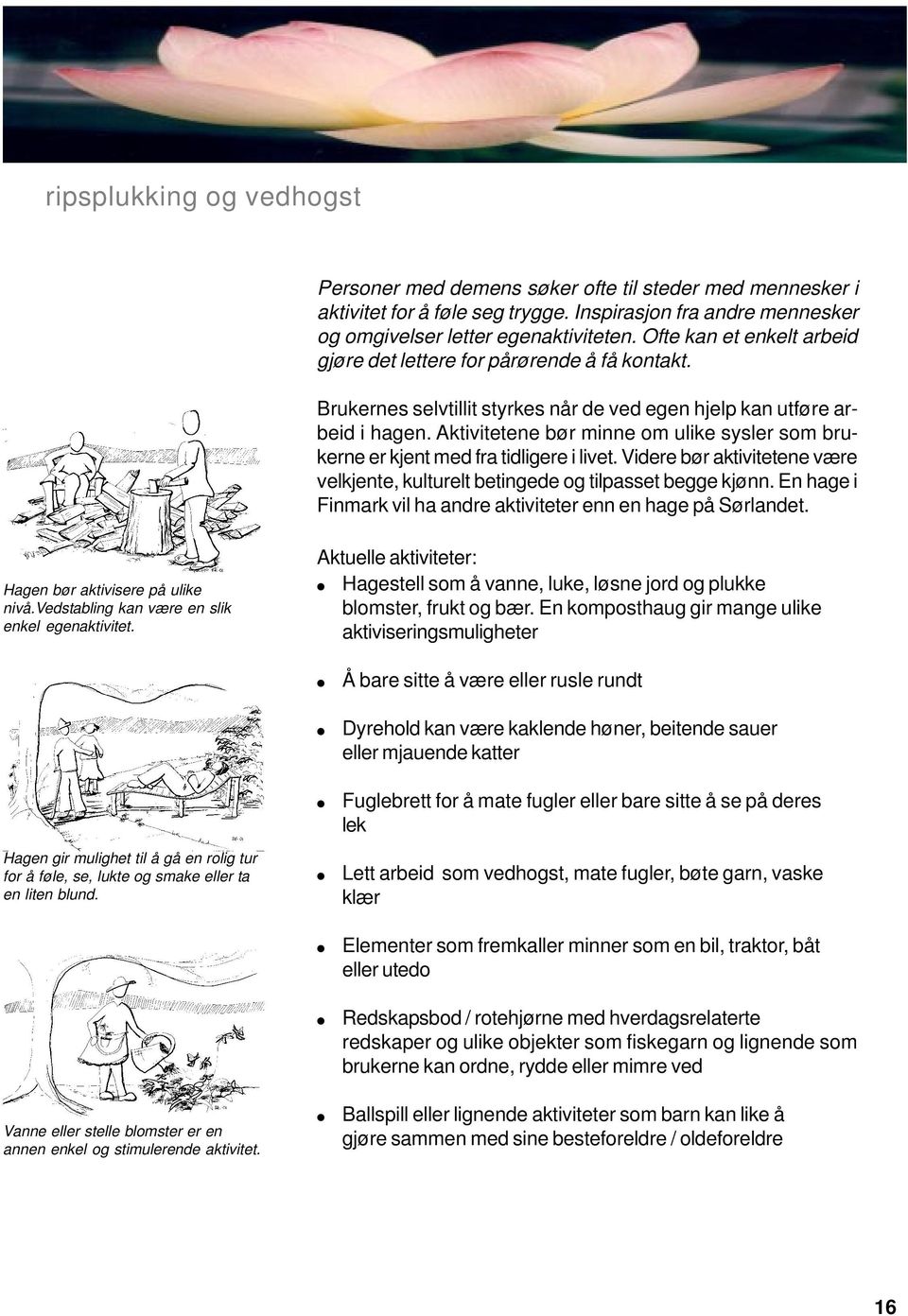 Aktivitetene bør minne om ulike sysler som brukerne er kjent med fra tidligere i livet. Videre bør aktivitetene være velkjente, kulturelt betingede og tilpasset begge kjønn.