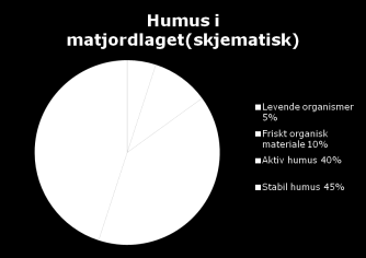 Næringsnettverket i jord planter. Alta 20. august 2014 del 2.