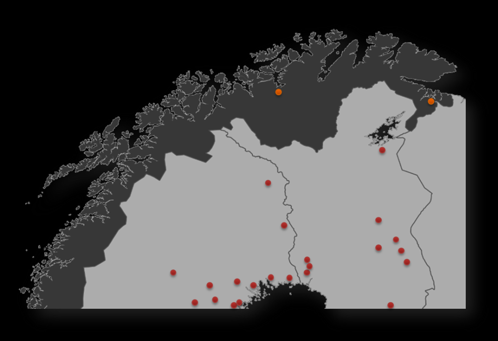 Sagtømmer: konkurransesituasjon Det er fullt mulig at Finnmarks-tømmeret kan sages til produkter som kan