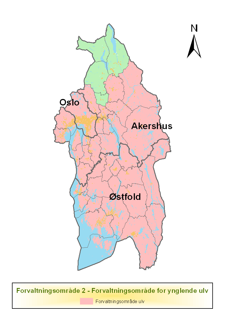 Akutt sanking ved større skadesituasjoner Tidlig sanking ved større skadesituasjoner seint i beitesesongen Forvaltningsområde 2 - Forvaltningsområde for ynglende ulv I henhold til Forskrift om