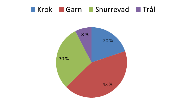 Ferske landinger av torsk