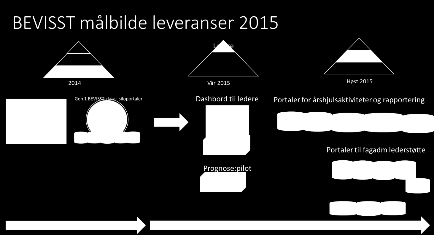 Aktiviteter og fremdrift Prosjektet skal avsluttes og systemet skal over i ordinær driftssituasjon innen utløpet av 2015.