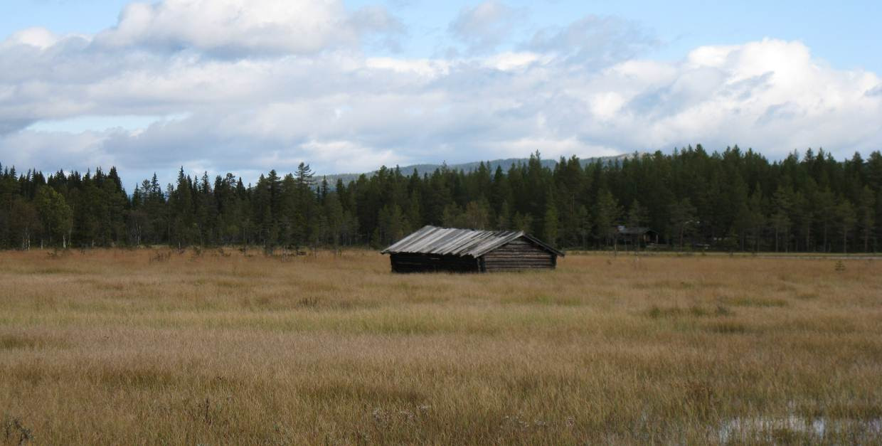 Restaurert løe, ved avgrenset område der slått foreslås, UTM