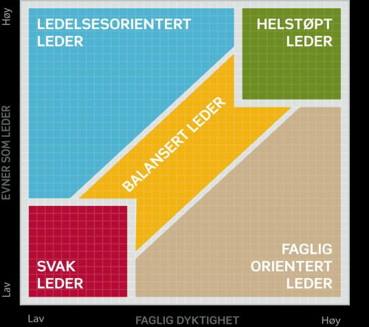 Management og Leadership «Management and Leadership