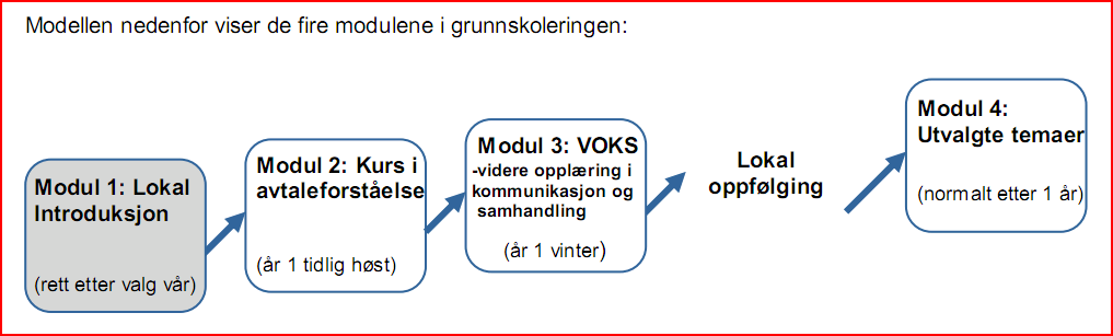 Grunnskuleringa Tittelen