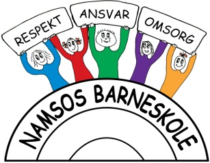 Namsos kommune v/oppvekstsjefen. Namsos 30.05.13 Tilbakemelding på arbeidet med kvalitetssikring av spesialundervisningen ved Namsos barneskole.