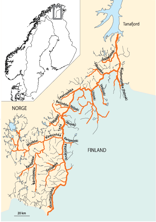 Områdebeskrivelse Deatnu (Tana på norsk, Teno på finsk) (70 N, 28 E) er det store grensevassdrag som befinner seg mellom Norge og Finland nordøst i Norge (figur 1).