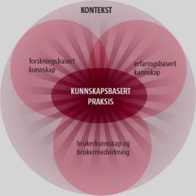 Organisasjonsperspektiv på forvaltninga Basert på Scott (1998), Bukve (1997) m.fl.