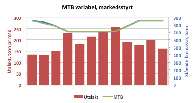 5.1.2 Konsekvens for produksjonsplanlegging/slakting Det er liten tvil om at et slikt MTB-regime vil føre til at oppdretterne vil ta med seg mer fisk inn i første og andre kvartal.