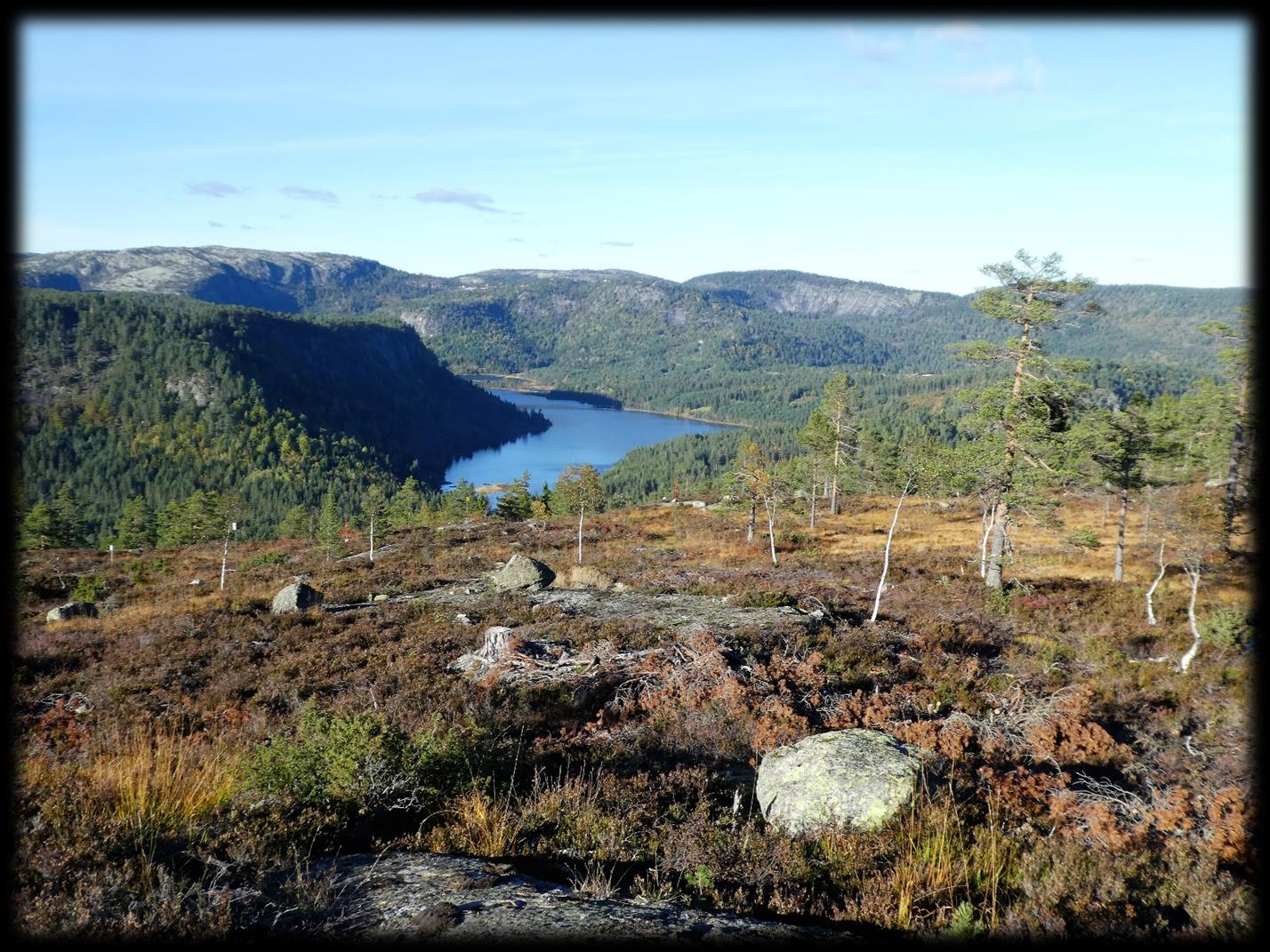 Salgsprospekt for tomter på