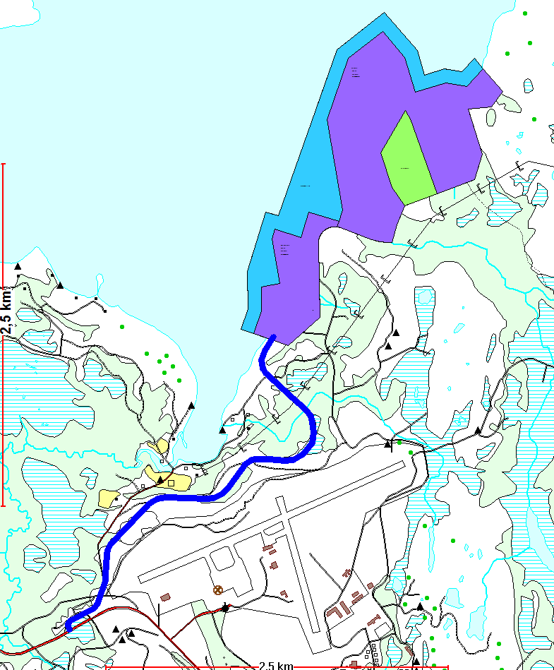 3 Utbyggingsplanene Varslet planområde omfatter sørvestre del av Tømmerneset. Utbyggingsområde framgår av planbeskrivelse. Det er også planlagt en adkomstvei til industriområdet.