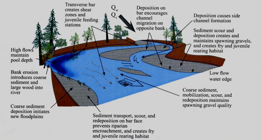 Hydromofologi - hymo Fokus i Europa WG ECOSTAT Kostandseffektive datametoder utvikle nye