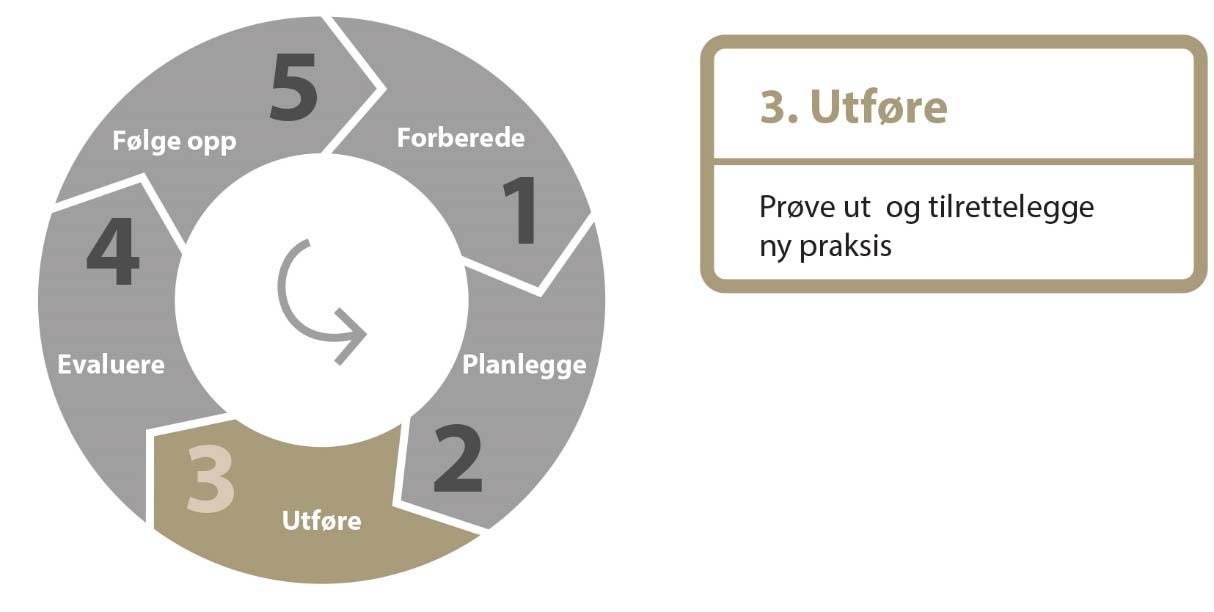 Nyttige verktøy for fase 2 (www.kvalitetsforbedring.no): Flytskjema Anerkjennende intervju (AI) Sjekkliste og skåringskjema Fokusgrupper, gjerne ledet av brukere Statistisk prosesskontroll (SPC) 3.