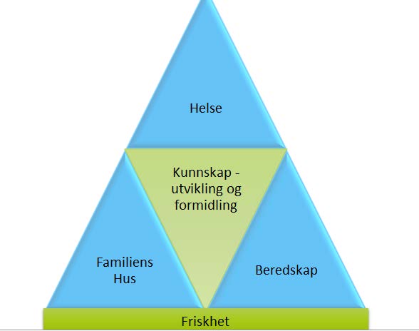 Gjennomføring av Samhandlingsprosjektet Gjennomføring av prosesser (workshops, møter), som fungerer som kollektive læringsarenaer på tvers av