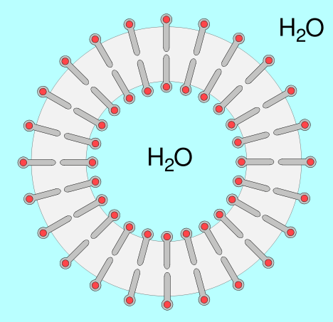 LIPID -