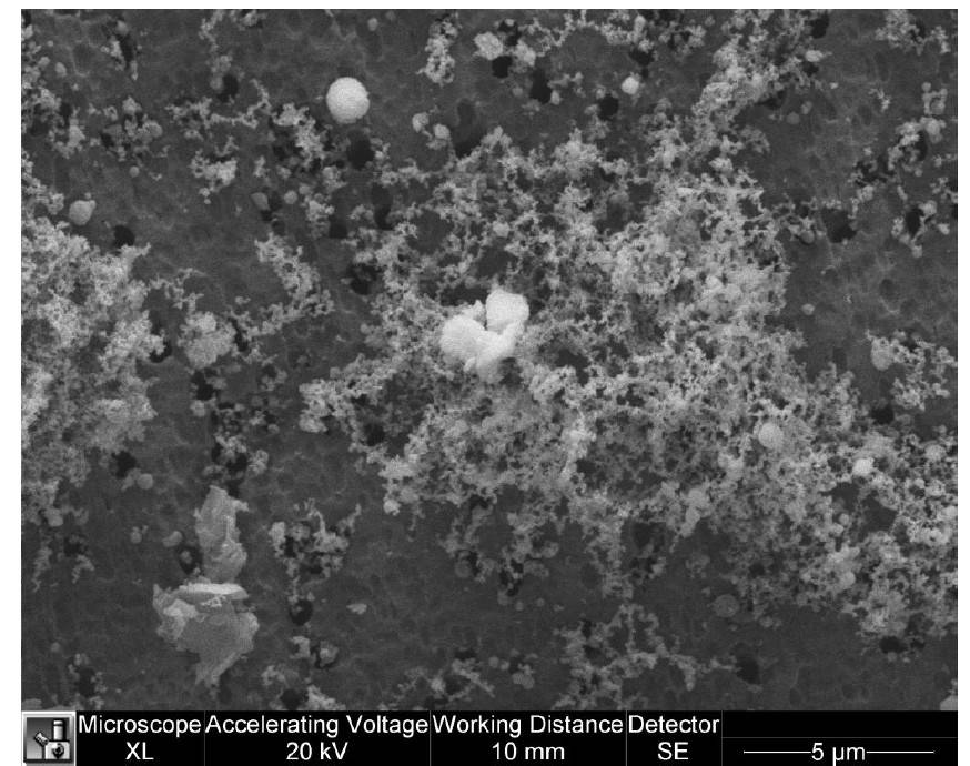 Bilde 3. Forstørrelse ca. 6400x. Samplet 15.febr-2013. Mange sandpartikler påvist i prøven.