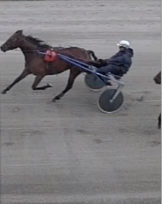 Løp 3 Stall Skadberg (www.thaihester.no) og Lauvåsen Avlsstasjons løp Varmblods. DNTs 3-årspokal. 3-årige norskfødte. Tillegg 20 m ved vunnet 3 års pokal. Tillegg 20 m ved kr.