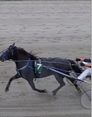 Løp 4 Stall H.C. Holms løp Kaldblods. 3-årige og eldre upremierte 1 Nr 7 Kise Turbo'n 6 Nina Fagerheim Ole-Christian Kjenner 1900 1.