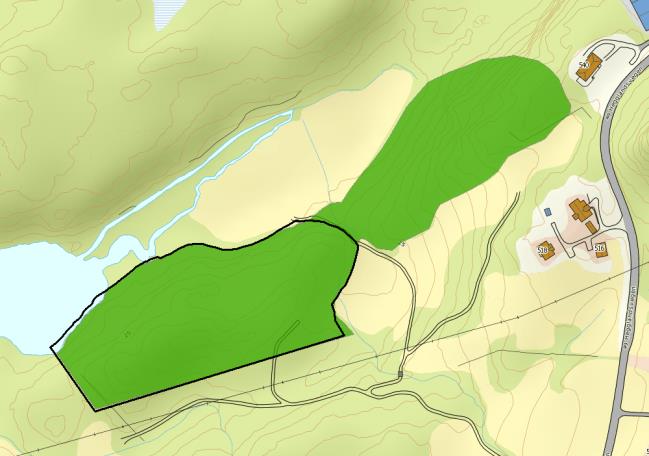 utvidet til å inkludere et område mot nordøst med samme type vegetasjon Fremmede arter: Det er ingen fremmede arter i, eller tilknyttet, naturtypen.