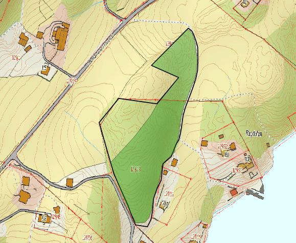 Figur 7. Indre Hovland. Øverst t.v.: Gammel edellauvskog (F02), utforming eikeskog (F0201), nordvest i lokaliteten, som nylig har blitt rammet av stormfellinger.