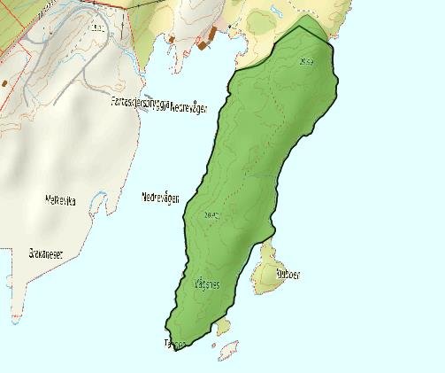 Figur 9. Vågsnes. Venstre: Gammel edellauvskog (F02) med utformingen eikeskog (F0201). Høyre: Gammel (svart linje) og ny (grønn flate) avgrensing.