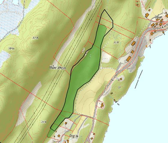 På stein og bergflater ble registrert buktporelav (Sticta sylvatica), skjellnever (Peltigera praetextata), krypsilkemose (Homalothecium sericeum), krusfellmose (Neckera crispa), kysttornemose (Mnium