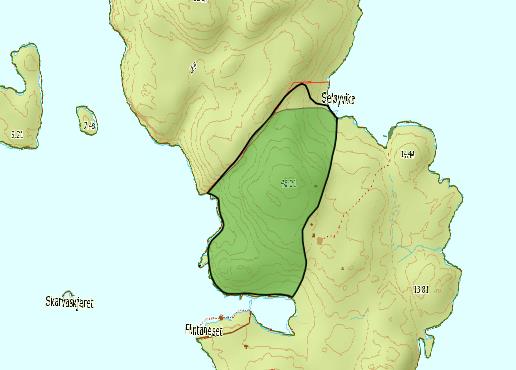 Lokalisering og naturgrunnlag: Lokaliteten ligger sør på Seløya i Tysnes kommune, Hordaland. Lokaliteten strekker seg fra sørvest til nord for husene på Seløy, og ligger mellom høydekote 0 og 50 m.