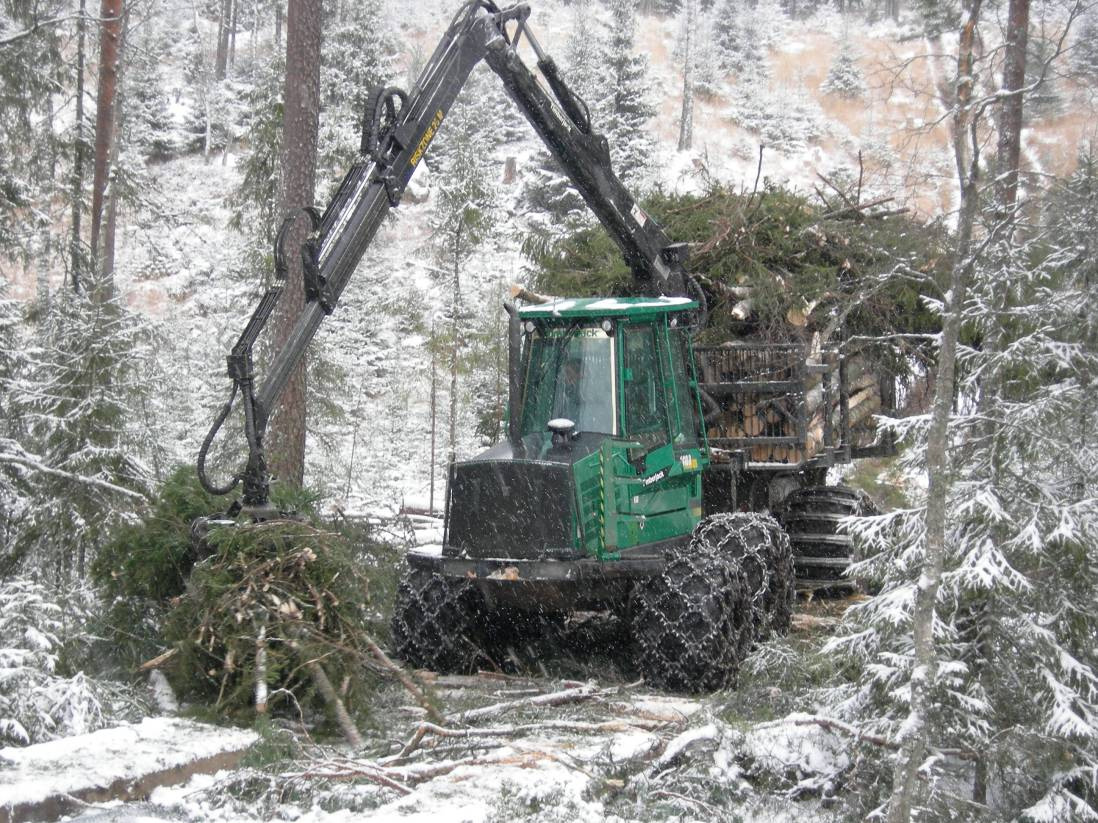 Bilde 11. Hogstmaskinen avvirker skog langs traseen som opparbeides over geonettet.