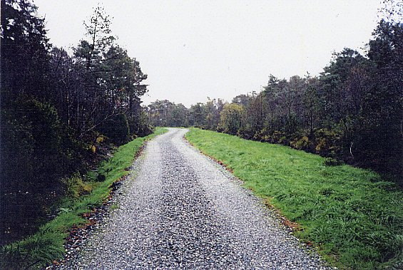 også større krav til den teknikken man benytter ved utlegging og vedlikehold, og ikke minst hva gjelder massesammensetning (kornfordeling).