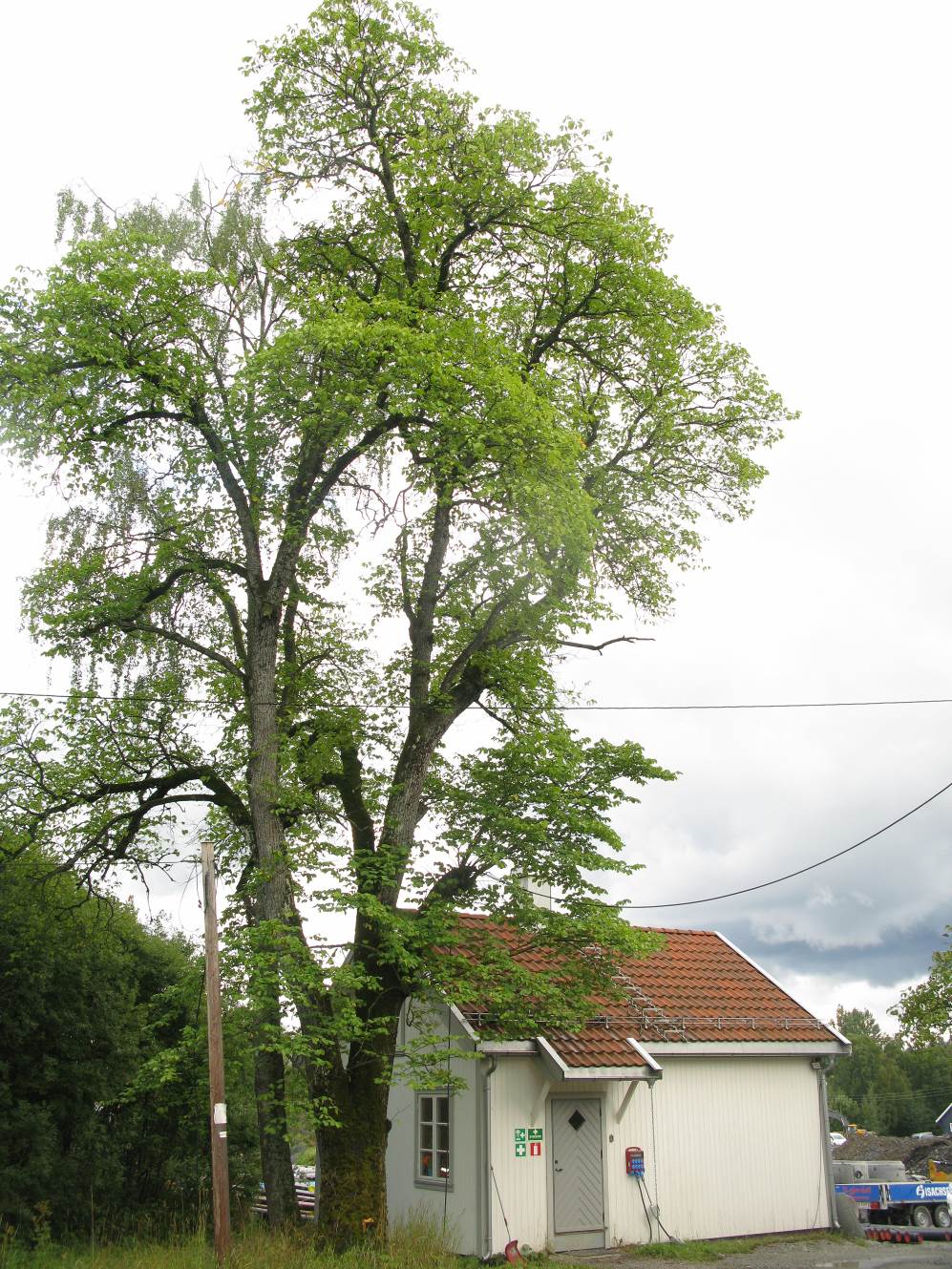 Røsok, Ø. & Blindheim, T. 2006. Konsekvensutredning for Skårerødegåden Lørenskog kommune, Akershus.