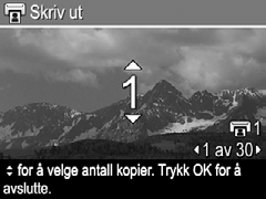 3. Merk Tilpassing av meny..., og trykk deretter på. Koble kameraet til datamaskinen ved hjelp av USB-kabelen som fulgte med kameraet.