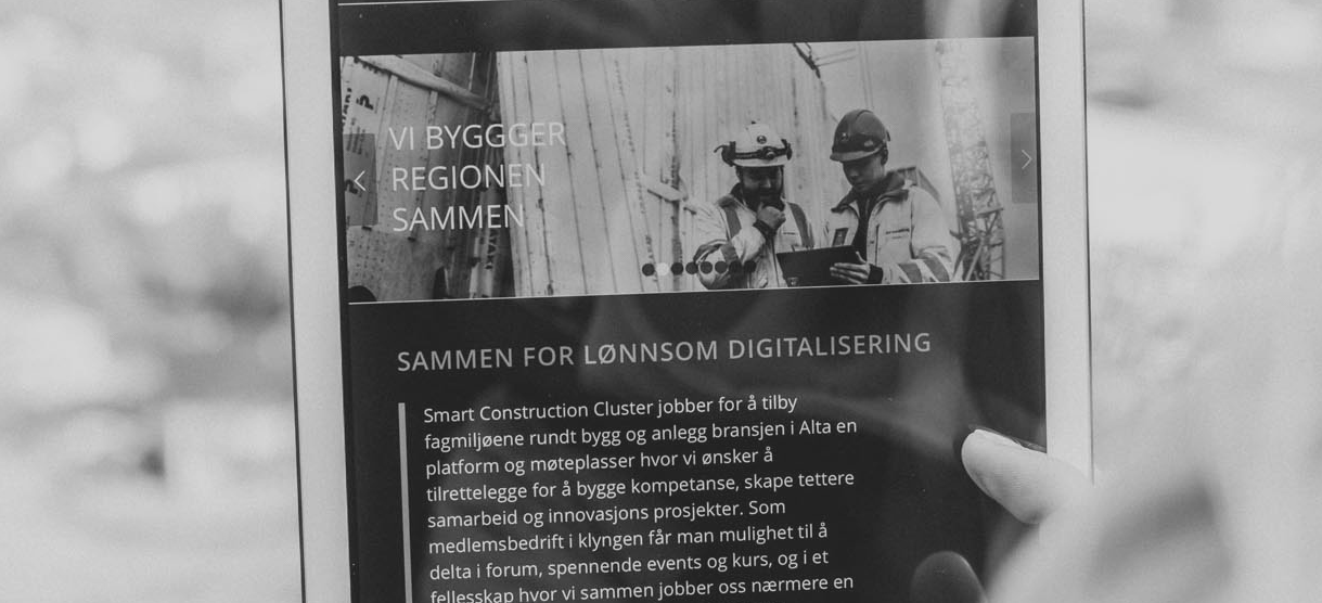 Det er definert 7 medlemstjenesteområder: 1. Hjelp til å hente ekstern medfinansiering og risikoavlastning til medlemmenes egne og felles F&I prosjekter. 2.