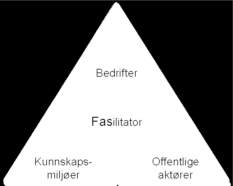 Arenaprogrammet Et tilbud til klyngeinitiativ i tidlig fase Tilbud til klynger