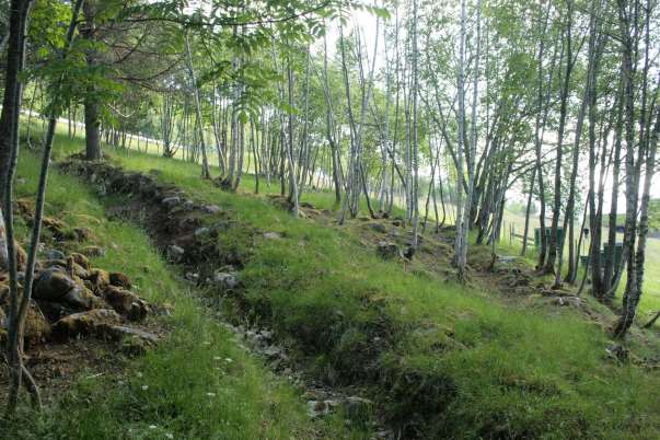 15 Figur 6 Foto; Øystein Folden, 27.06.2012. Nedanfor midten av lokaliteten er det eit område med store grøfter. Viss det har vore slåttemarkstruktur her, så har denne blitt borte ved grøftinga.