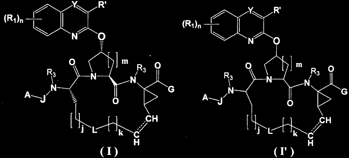 3 hver R 6 og R 7 er uavhengig valgt ved hver forekomst fra halogen, hydroksy, amino, -CF 3, -CN, -N 3, -NO 2, -C 1 -C 6 -alkyl, C 2 -C 6 -alkenyl, C 2 -C 6 -alkynyl, C 1 -C 6 -haloalkyl, C 2 - C 6