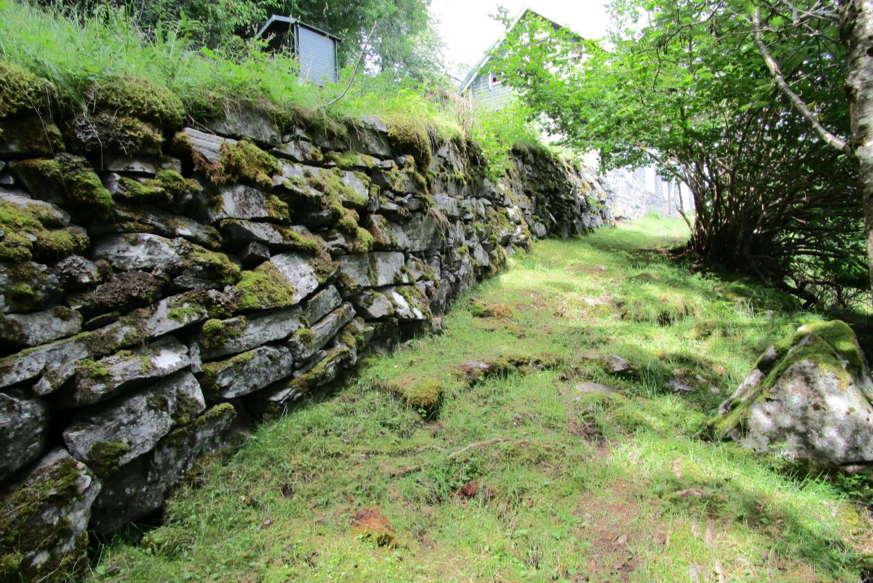 Figur 6. Nedre del er mest artsrik og med større innslag av urter. I denne delen har bl.a. prestekrage stor utbredelse. Foto: Per Vesterbukt/Bioforsk, 9.7.2014. UTM32 6932063N 499263Ø. Figur 7.