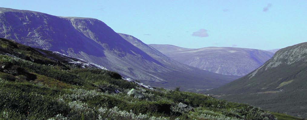 Sammendrag Omkring 7% av Norges areal er fjell eller fjellskog. Norge har et internasjonalt ansvar for å overvåke og ta vare på det biologiske mangfoldet i de naturtypene fjellet representerer.