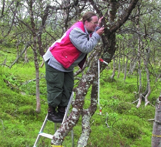 Mål og opplegg for overvåkingsprogrammet TOV Biologisk overvåking er tidog ressurskrevende. Overvåking av lav på trær i overvåkingsområdet i Dividalen. Registrering av markvegetasjonen i Dividalen.
