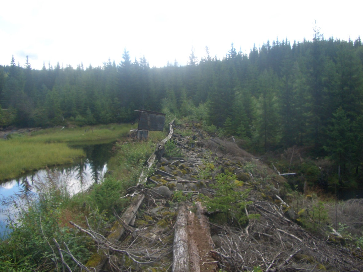 Figur 2-1. Dagens damområde sett oppstrøms. Området med flytetorv ses foran dammen. Foto: Sweco Norge AS. rao4n2 2008-01-23 Figur 2-2.