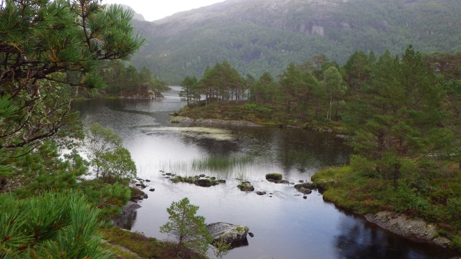 Til: Matland Kraftverk AS Frå: Erling Otterlei Biolog/Dr. scient. Kopi: Torfinn Kolle Vår ref.: 111928/1 Dato: 01.09.