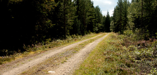 Pass på overflaten av veien Slodding, skraping og høvling må til Skraping og høvling Skraping og høvling bør gjennomføres minst to ganger i året avhengig av trafikk.