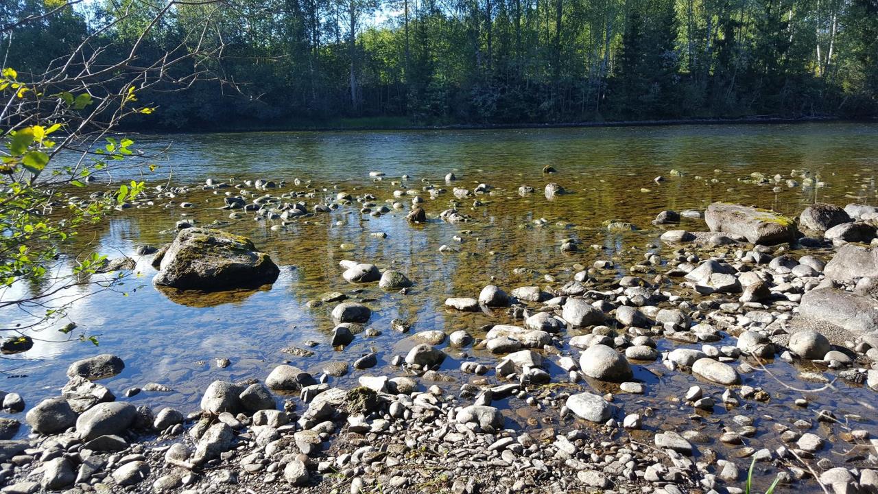 «Brekkhølen» i Randselva 27.aug 2016 -? m3 kl. 06.