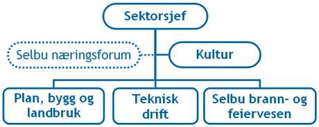 Selbu kommune deltar i interkommunalt samarbeid innen barnevern med Stjørdal kommune som vertskommune. Det er store utfordringer knyttet til området.