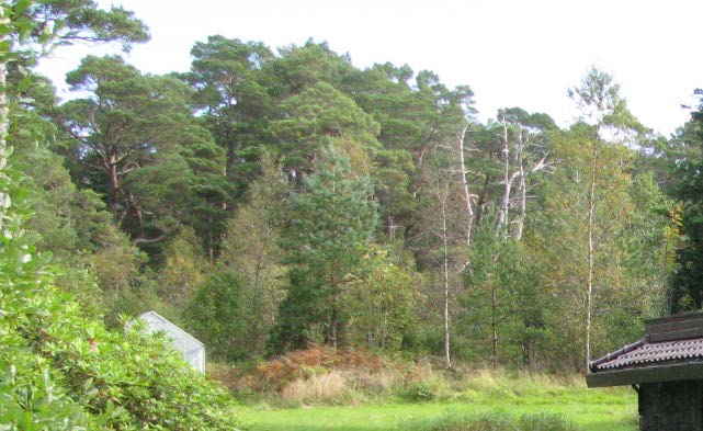 Mot sjøen på vestsiden Mot vest